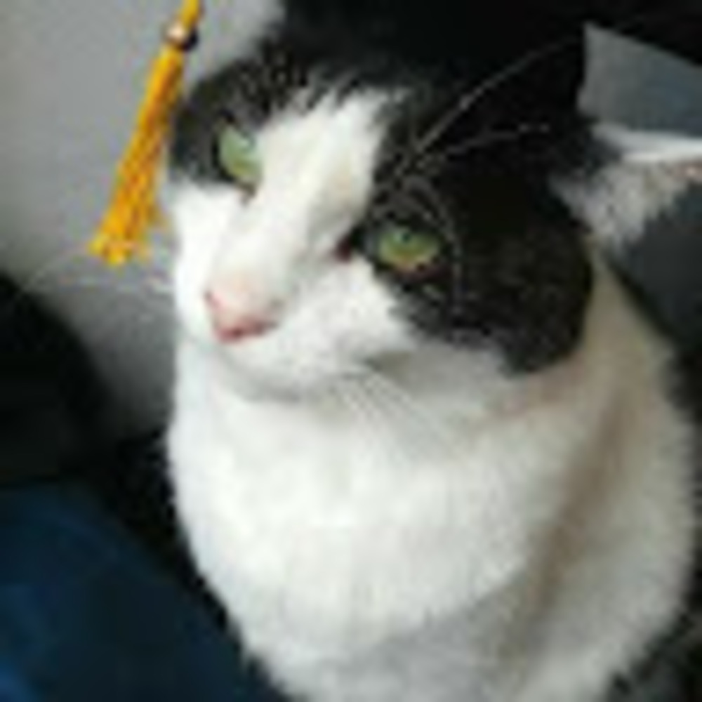 Meet your Posher, Cookie